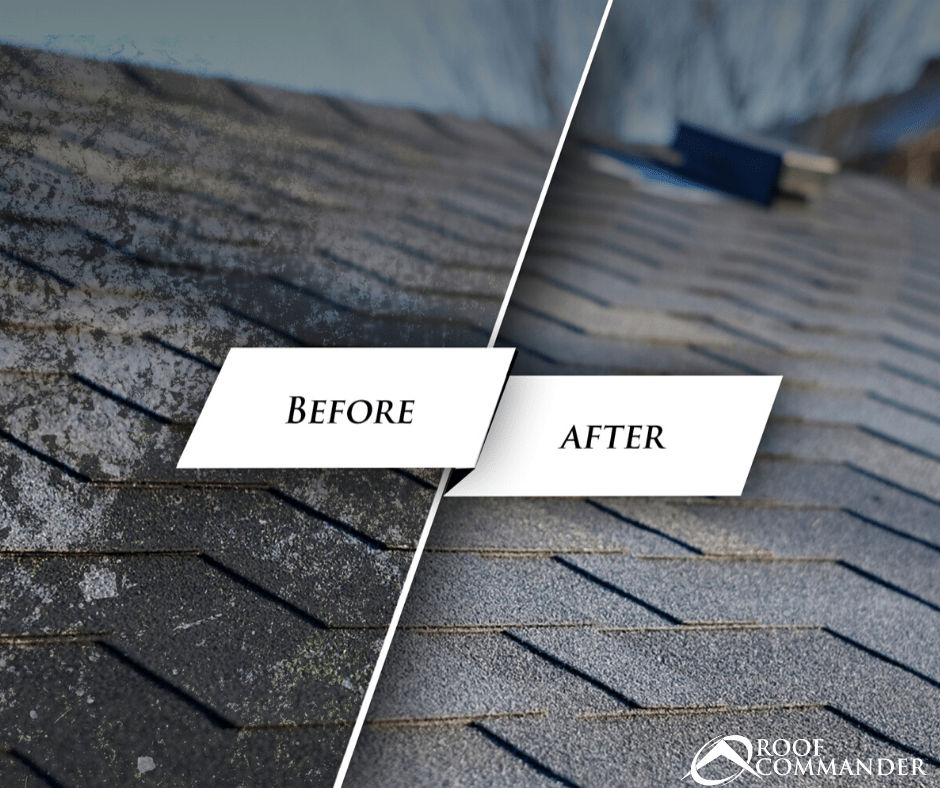 Want a roof you can be proud of? Professional roof cleaning is the answer.